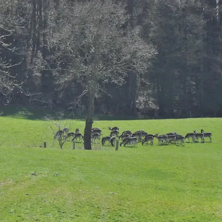 Altharmhorst 公寓 Kirchnuchel